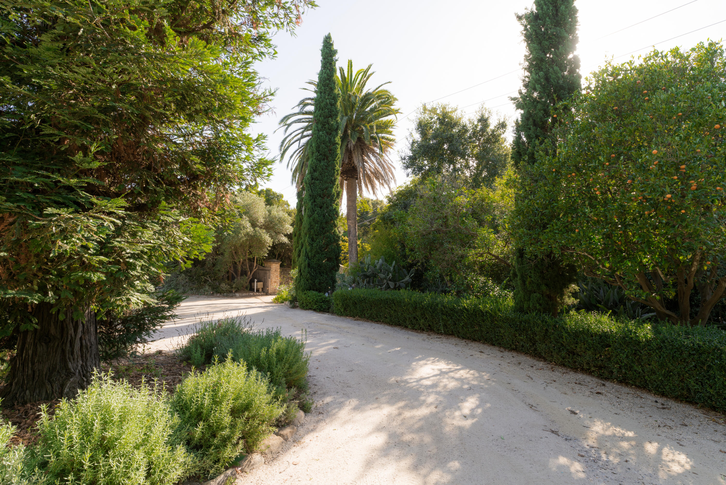 690 San Ysidro Road Montecito, CA 93108 - Photo 33 of 34 a view of a yard with plants and trees