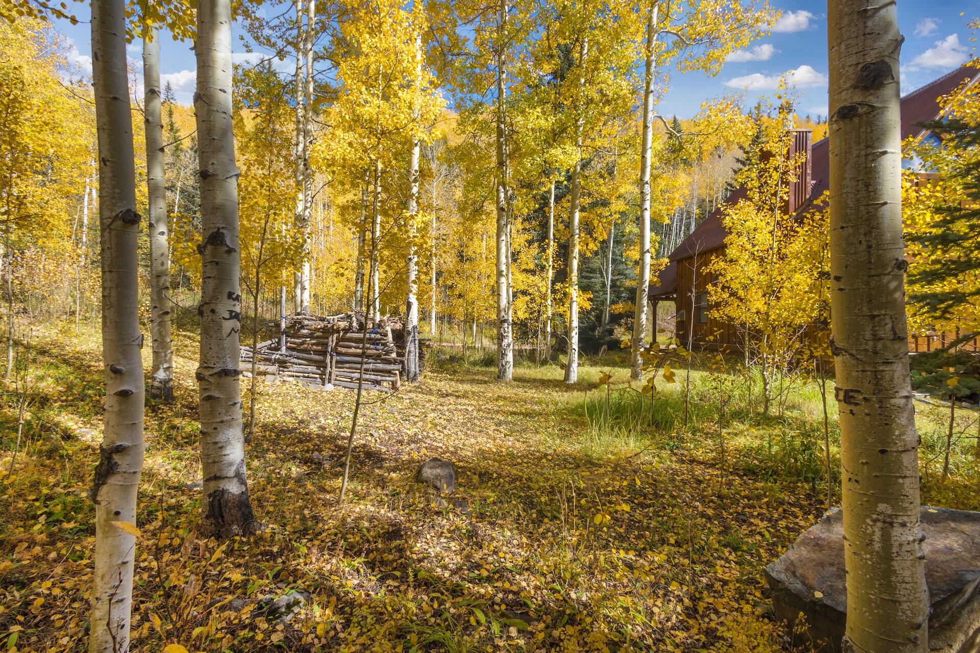 Tbd Silverglance Way Rico, CO 81332 - Photo 6 of 18 zz