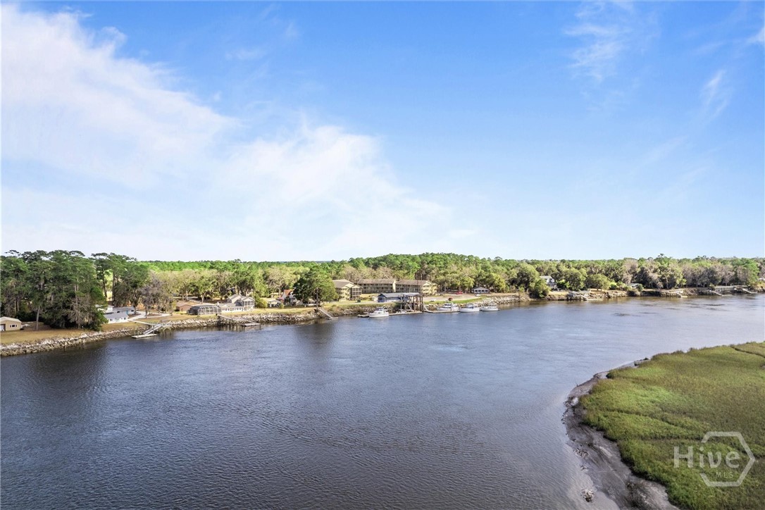 207 Azalea Road, Unit 21 Midway, GA 31320 - Photo 42 of 46 Ideal for nature lovers.