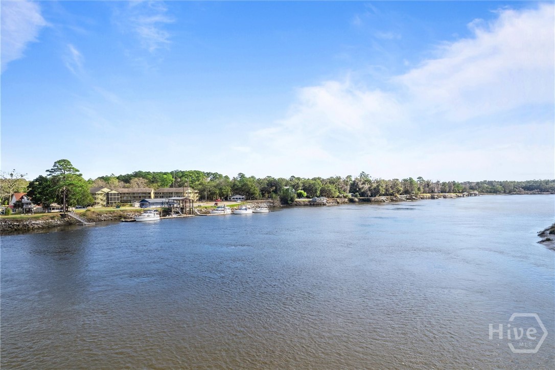 207 Azalea Road, Unit 21 Midway, GA 31320 - Photo 44 of 46 Just a short boat ride to multiple islands.