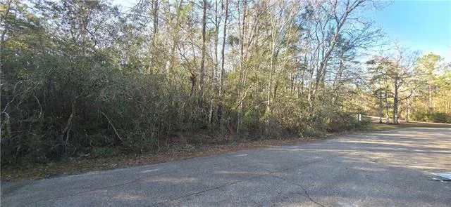 $80,000 | 0 Southdown Drive, Pearl River, LA 70452
