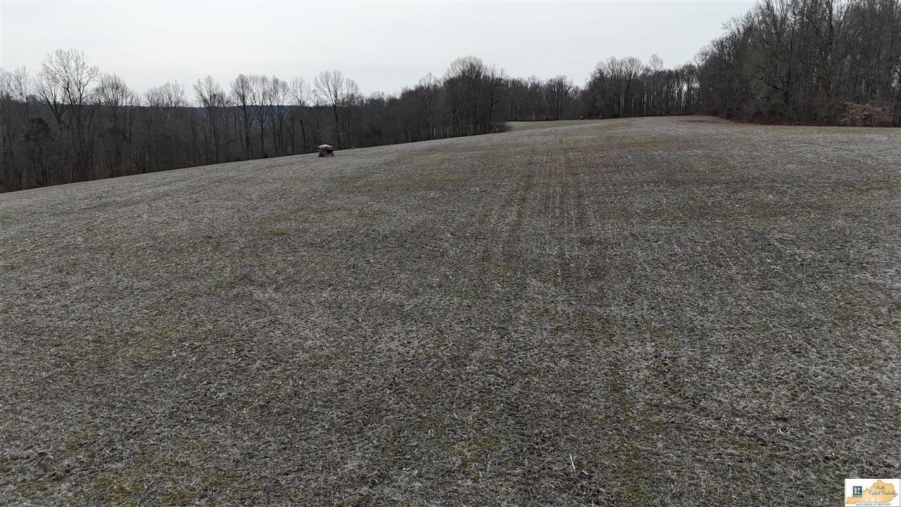 439 Spout Springs Road Knifley, KY 42753 - Photo 86 of 92 Gallery Image 86