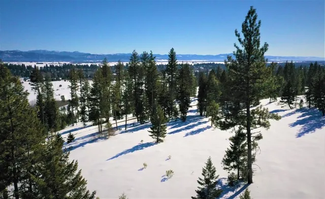 $385,000 | Lot 1 Bella View Drive, Unit 1, McCall, ID 83638