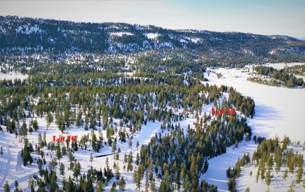 Lot 1 Bella View Drive, Unit 1 McCall, ID 83638 - Photo 13 of 41 Numbered Lots