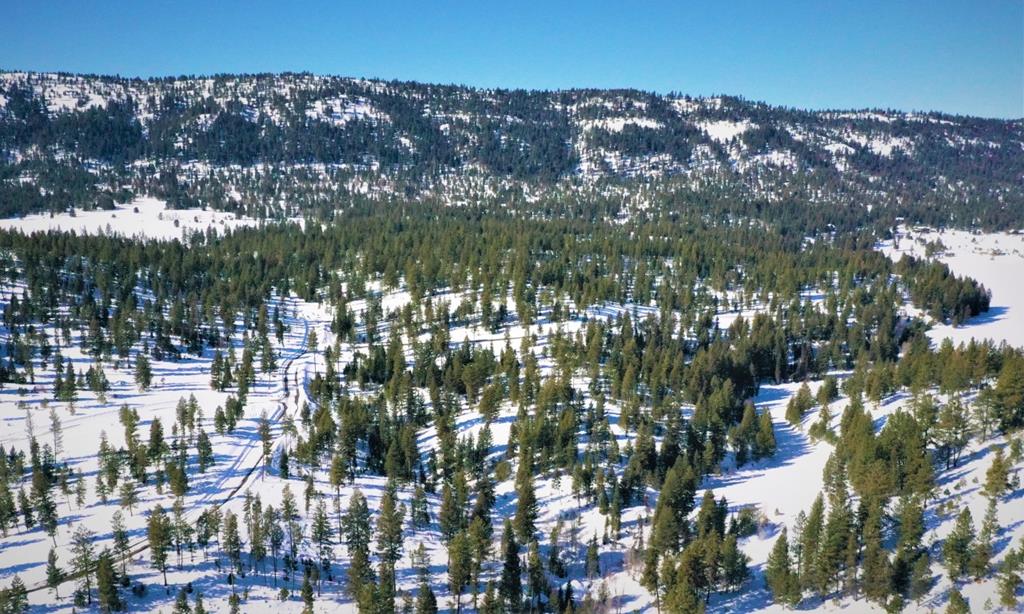 Lot 1 Bella View Drive, Unit 1 McCall, ID 83638 - Photo 17 of 41 Lots 10 & 11