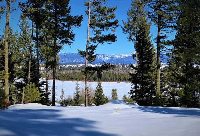 $385,000 | Lot 1 Bella View Drive, Unit 1, McCall, ID 83638