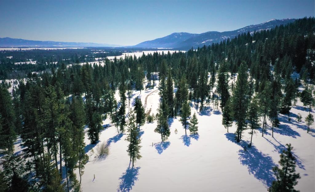 Lot 1 Bella View Drive, Unit 1 McCall, ID 83638 - Photo 20 of 41 Lot 9