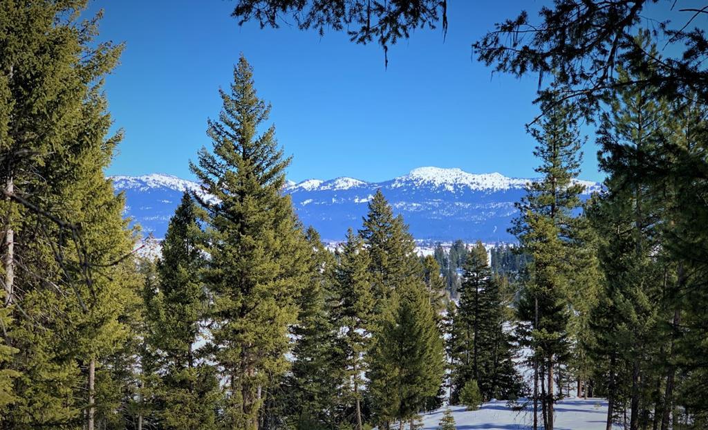 Lot 1 Bella View Drive, Unit 1 McCall, ID 83638 - Photo 2 of 41
