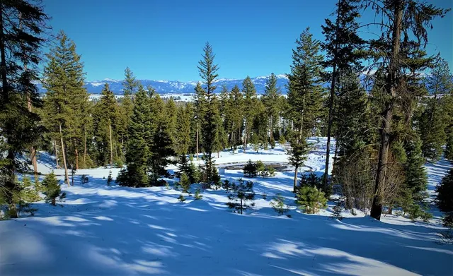 $385,000 | Lot 1 Bella View Drive, Unit 1, McCall, ID 83638