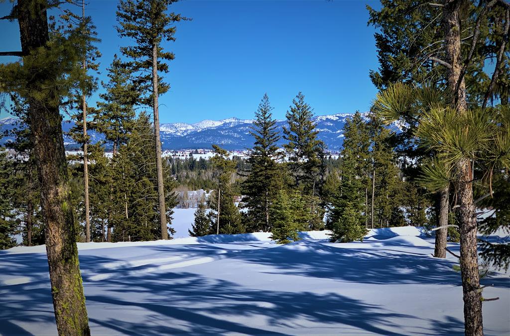 Lot 1 Bella View Drive, Unit 1 McCall, ID 83638 - Photo 22 of 41 Lot 1