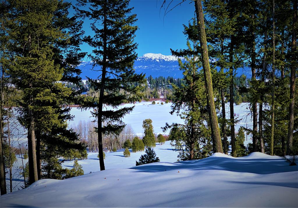 Lot 1 Bella View Drive, Unit 1 McCall, ID 83638 - Photo 23 of 41 Lot 1