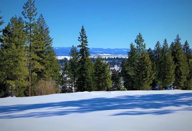 $385,000 | Lot 1 Bella View Drive, Unit 1, McCall, ID 83638