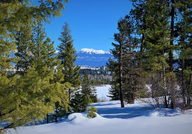 $385,000 | Lot 1 Bella View Drive, Unit 1, McCall, ID 83638