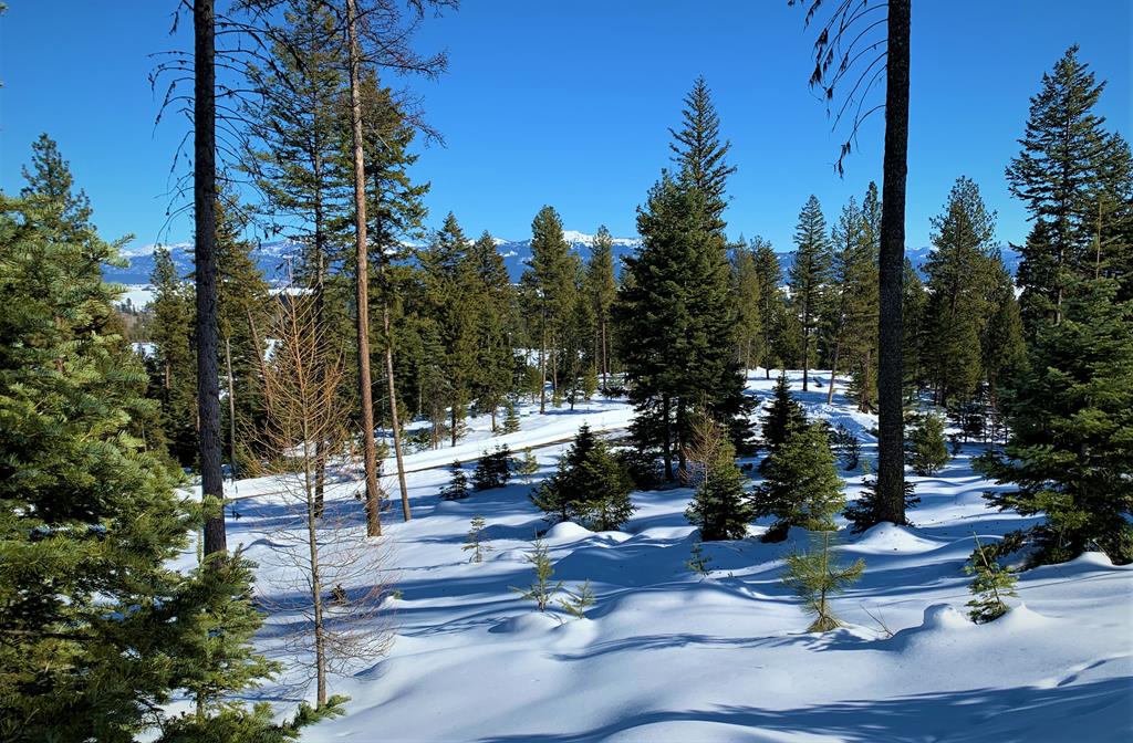 Lot 1 Bella View Drive, Unit 1 McCall, ID 83638 - Photo 30 of 41 Lot 7