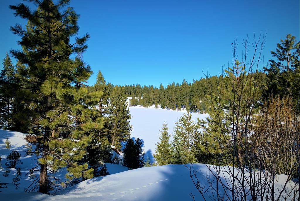 Lot 1 Bella View Drive, Unit 1 McCall, ID 83638 - Photo 32 of 40 Lot 8