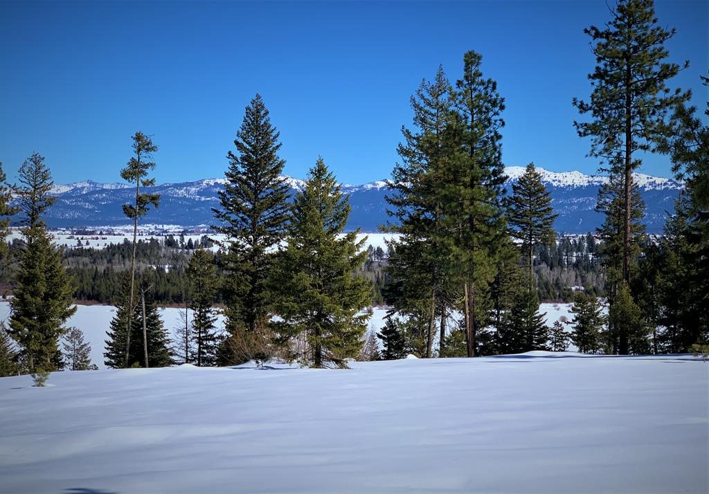 Lot 1 Bella View Drive, Unit 1 McCall, ID 83638 - Photo 33 of 41 Lot 9