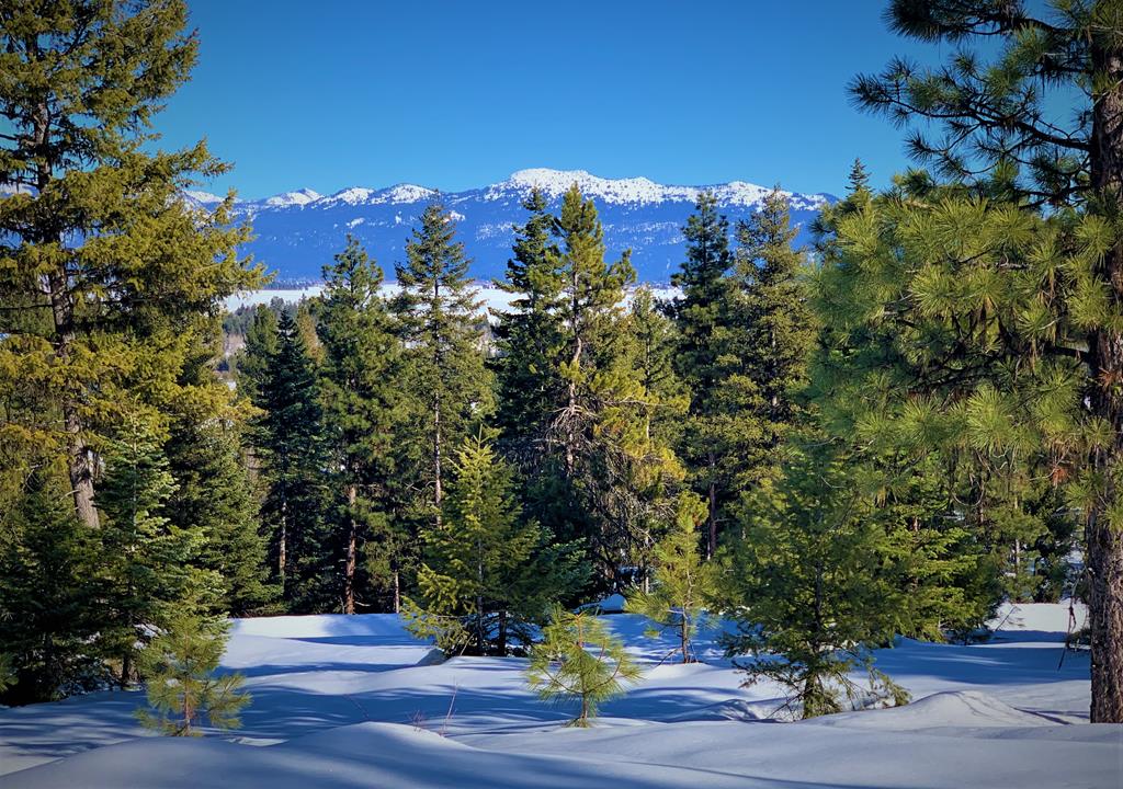 Lot 1 Bella View Drive, Unit 1 McCall, ID 83638 - Photo 34 of 40 Lot 9