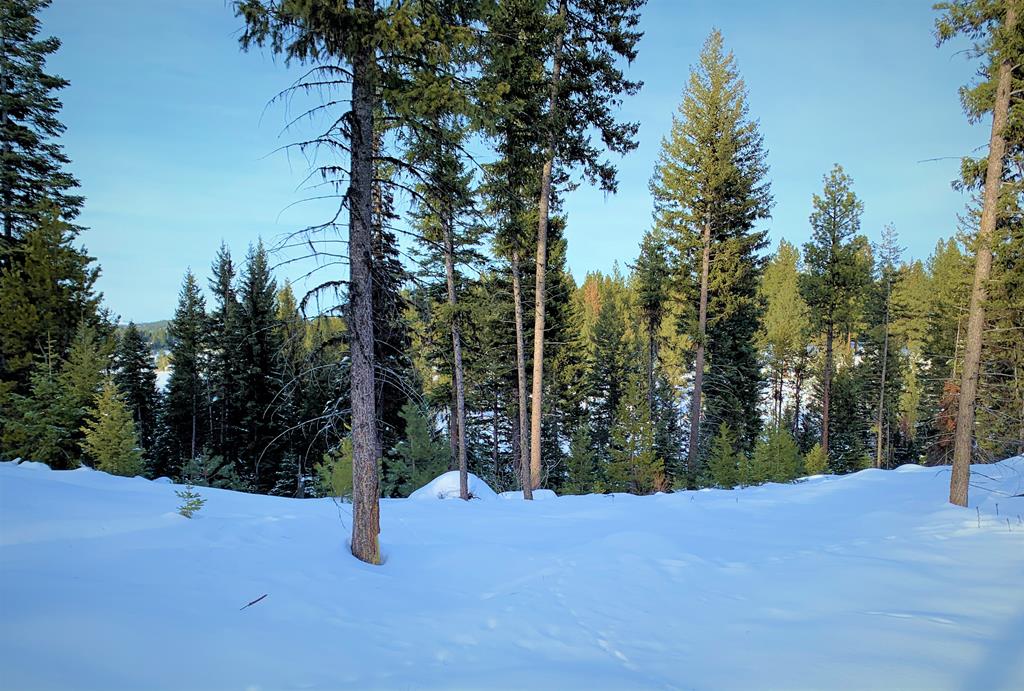 Lot 1 Bella View Drive, Unit 1 McCall, ID 83638 - Photo 37 of 41 Lot 11