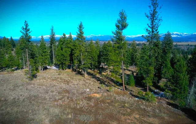 $385,000 | Lot 1 Bella View Drive, Unit 1, McCall, ID 83638