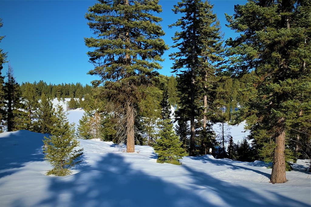 Lot 1 Bella View Drive, Unit 1 McCall, ID 83638 - Photo 39 of 41 Lot 12