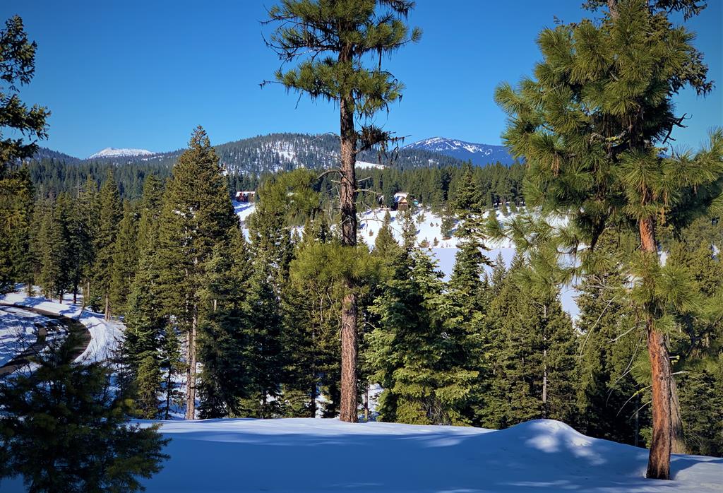 Lot 1 Bella View Drive, Unit 1 McCall, ID 83638 - Photo 41 of 41 Lot 16