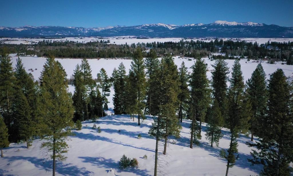 Lot 1 Bella View Drive, Unit 1 McCall, ID 83638 - Photo 8 of 41 Lot 3