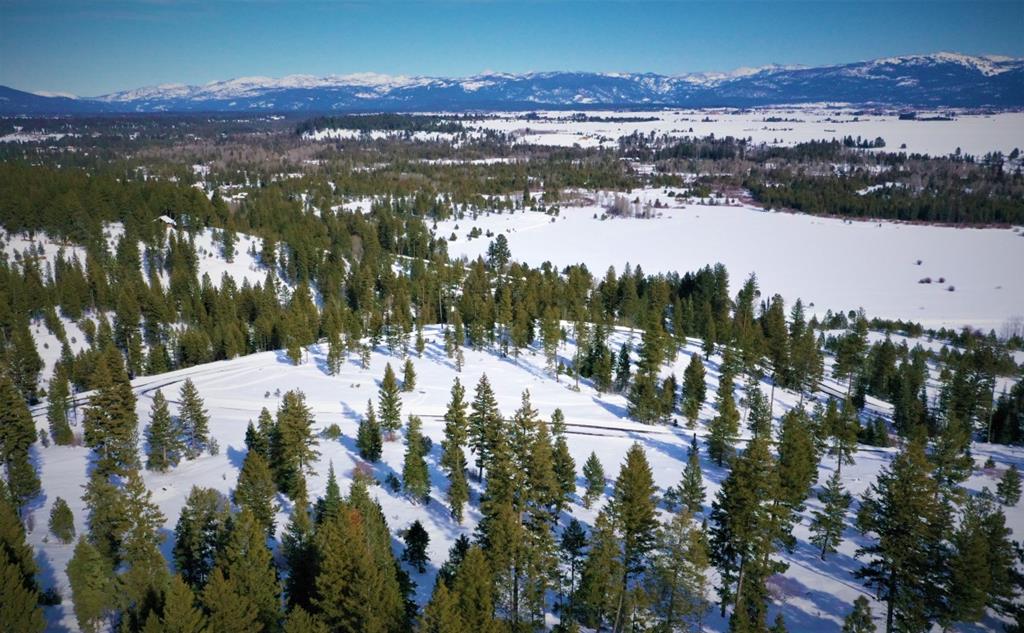 Lot 1 Bella View Drive, Unit 1 McCall, ID 83638 - Photo 9 of 41 Lots 1 & 9