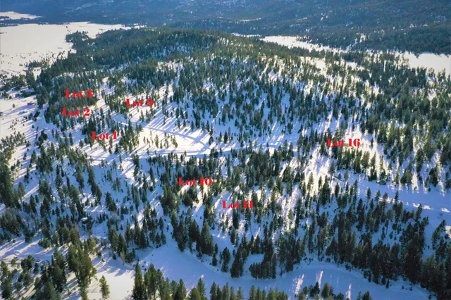 $385,000 | Lot 1 Bella View Drive, Unit 1, McCall, ID 83638