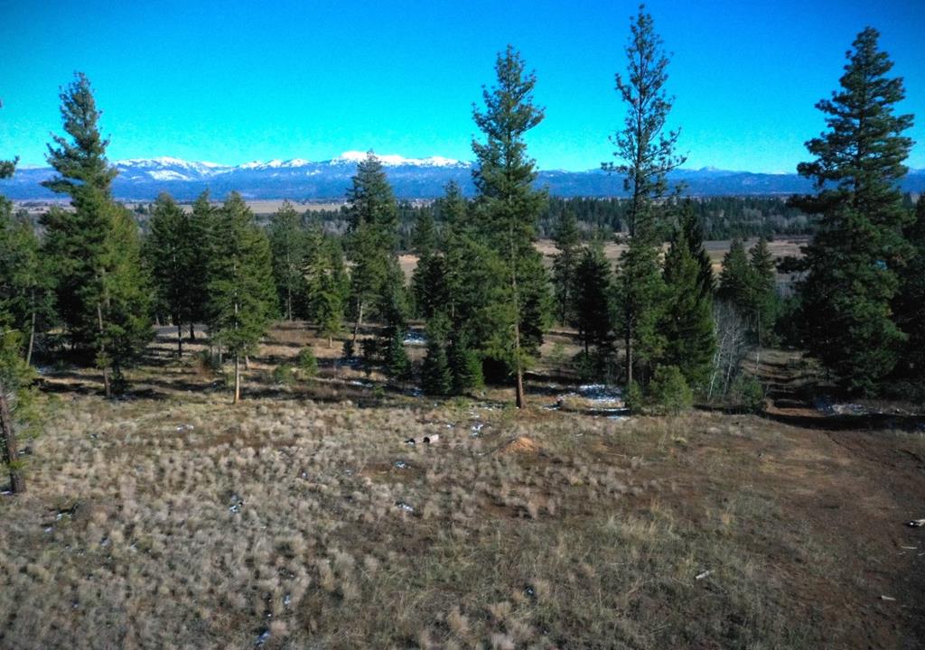 Lot 1 Bella View Drive, Unit 1 McCall, ID 83638 - Photo 10 of 41
