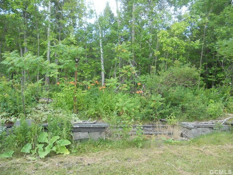 0 Route 23 Maplecrest, NY 12439 - Photo 3 of 5 Photo 3