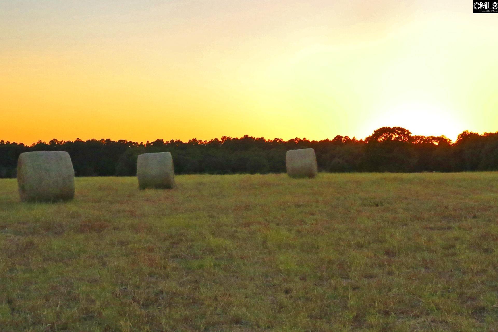 Tbd Browns Pond Road Wagener, SC 29164 - Photo 25 of 48