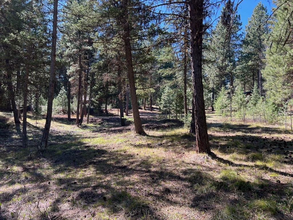 B24-l2 Vardon Road, Unit 2 New Meadows, ID 83654 - Photo 8 of 16