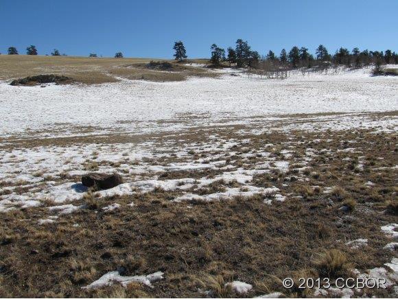 Tbd Tbd Kanas Road Hartsel, CO 80449 - Photo 1 of 1