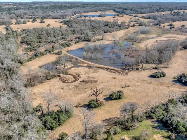 a view of a dry yard with trees