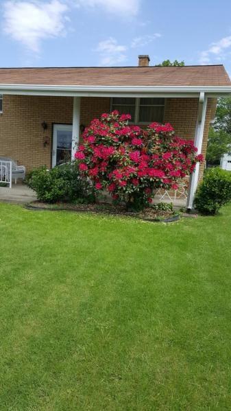 605 Morgantown Road Uniontown, PA 15401 - Photo 5 of 24