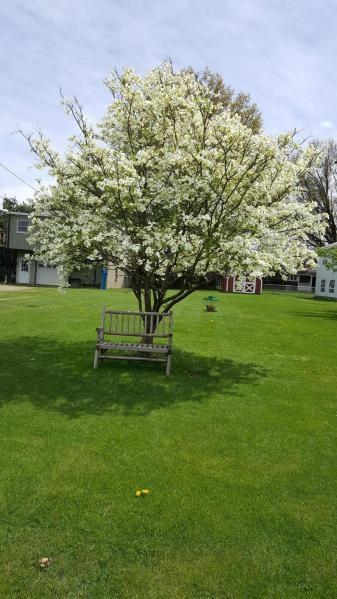 605 Morgantown Road Uniontown, PA 15401 - Photo 10 of 24