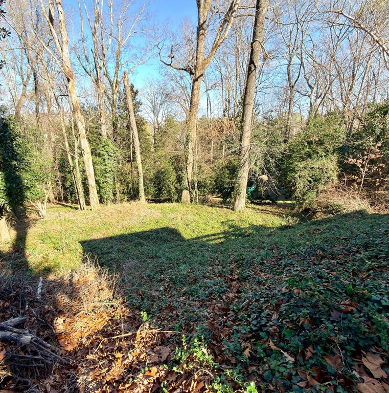 1673 Mt Paran Road Northwest Atlanta, GA 30327 - Photo 5 of 8 a view of yard with tree