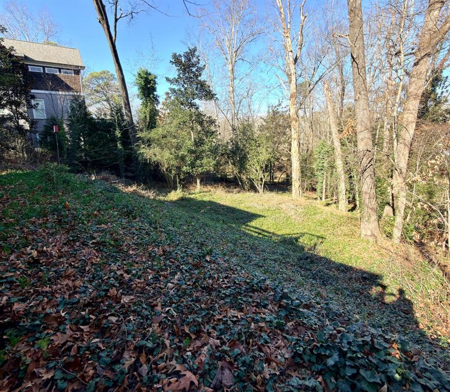 1673 Mt Paran Road Northwest Atlanta, GA 30327 - Photo 6 of 8 a view of outdoor space and garden