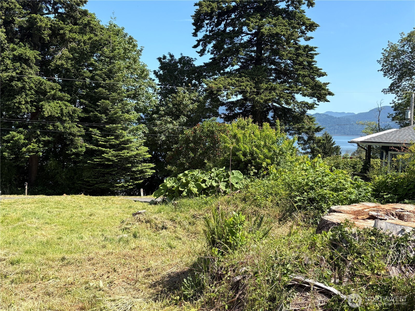 4904 Roney Road Bow, WA 98232 - Photo 8 of 16 a view of yard with large trees