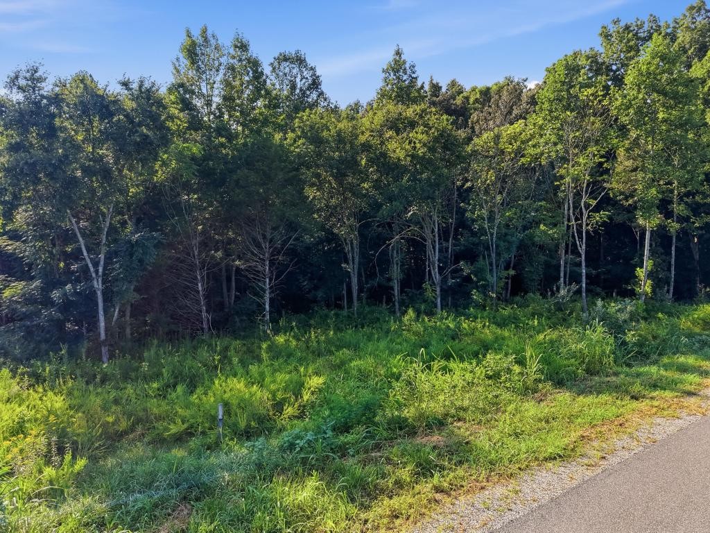 9333 Medlin Road Baxter, TN 38544 - Photo 7 of 9 Gallery Image 7