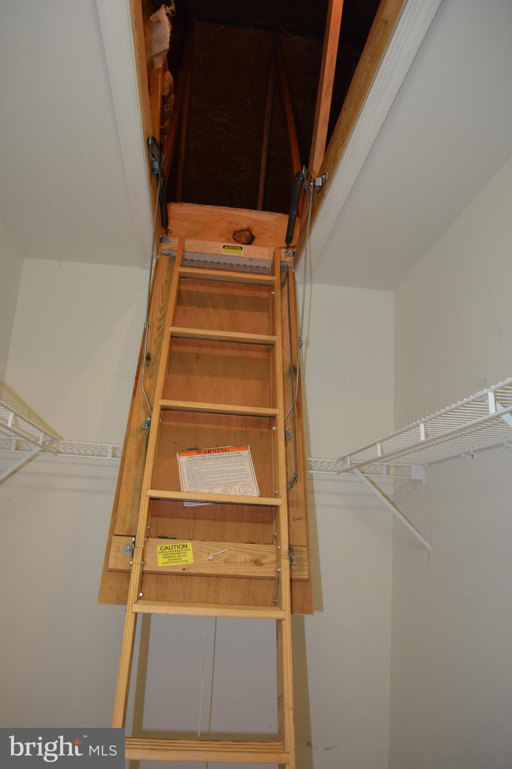 12038 Red Pine Road Ruther Glen, VA 22546 - Photo 31 of 43 Pull down attic ladder in master walk in closet.