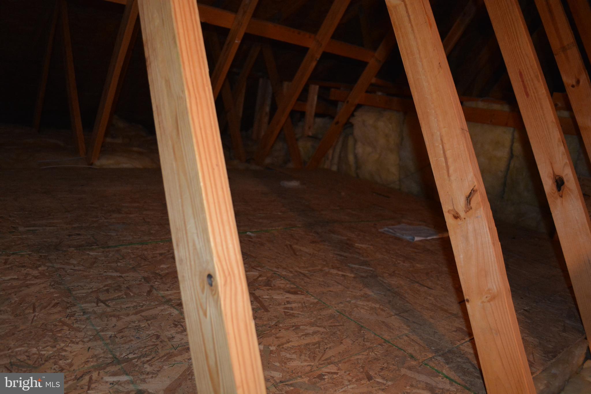 12038 Red Pine Road Ruther Glen, VA 22546 - Photo 32 of 43 Storage area in attack