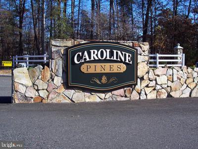 12038 Red Pine Road Ruther Glen, VA 22546 - Photo 43 of 43 Gallery Image 43