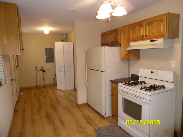 210 Doris Avenue Joliet, IL 60433 - Photo 6 of 15