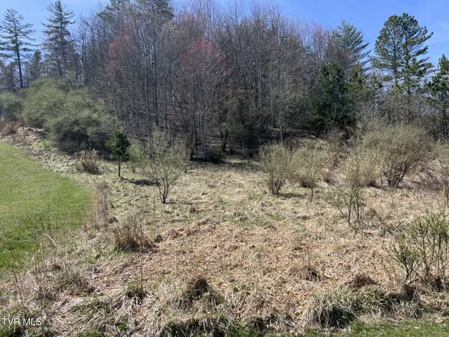 $28,000 | Tbd Charles Street, Clintwood, VA 24228