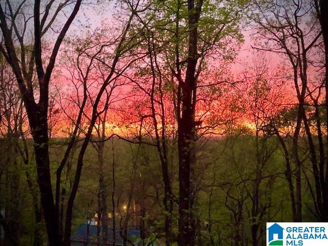 4006 South Shades Crest Road Birmingham, AL 35244 - Photo 2 of 48