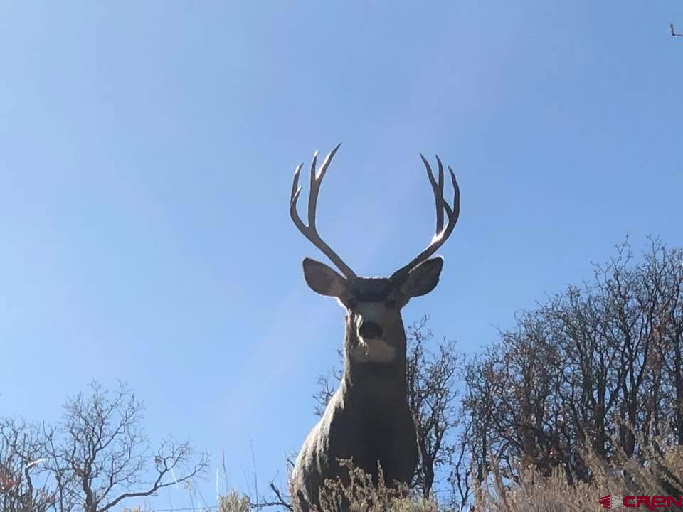 147 Mackinaw Way Gunnison, CO 81230 - Photo 40 of 45