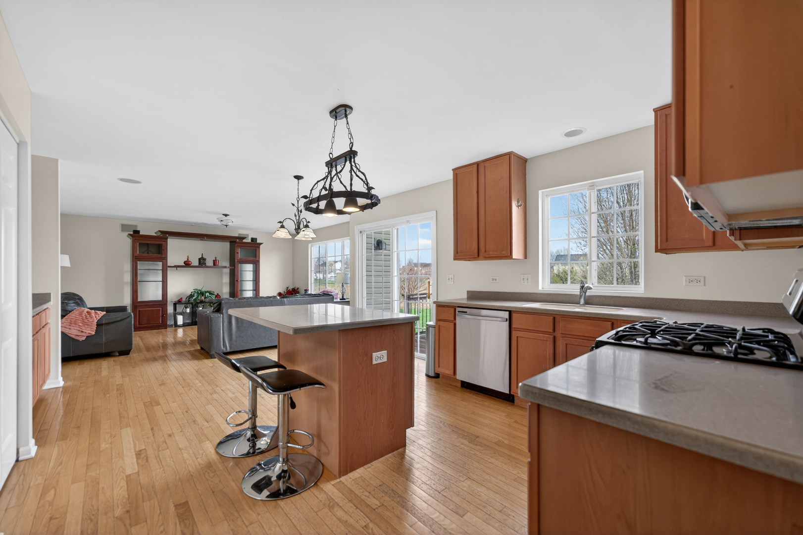 1480 Farmstead Lane DeKalb, IL 60115 - Photo 13 of 48