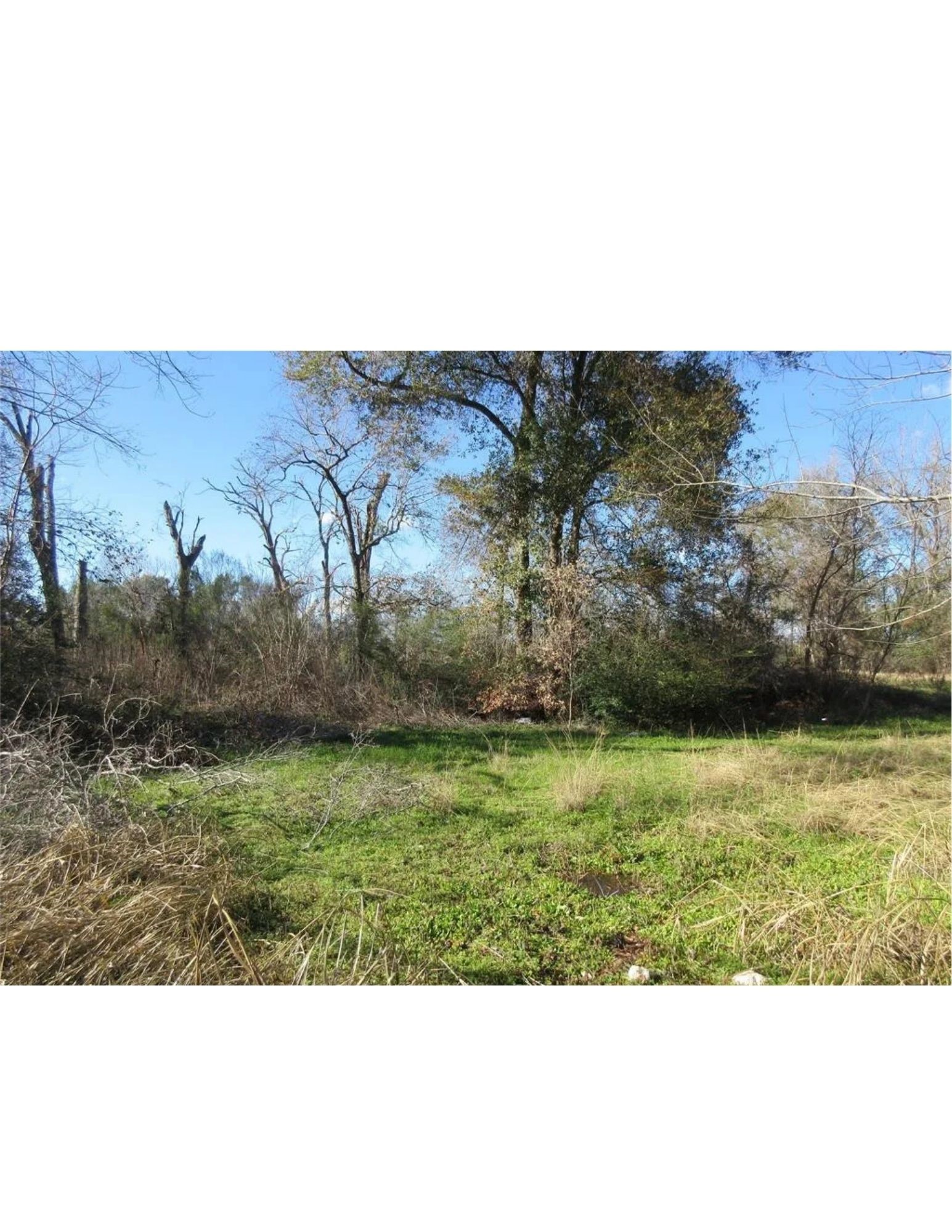 0 Greenhouse Road Houston, TX 77084 - Photo 3 of 5