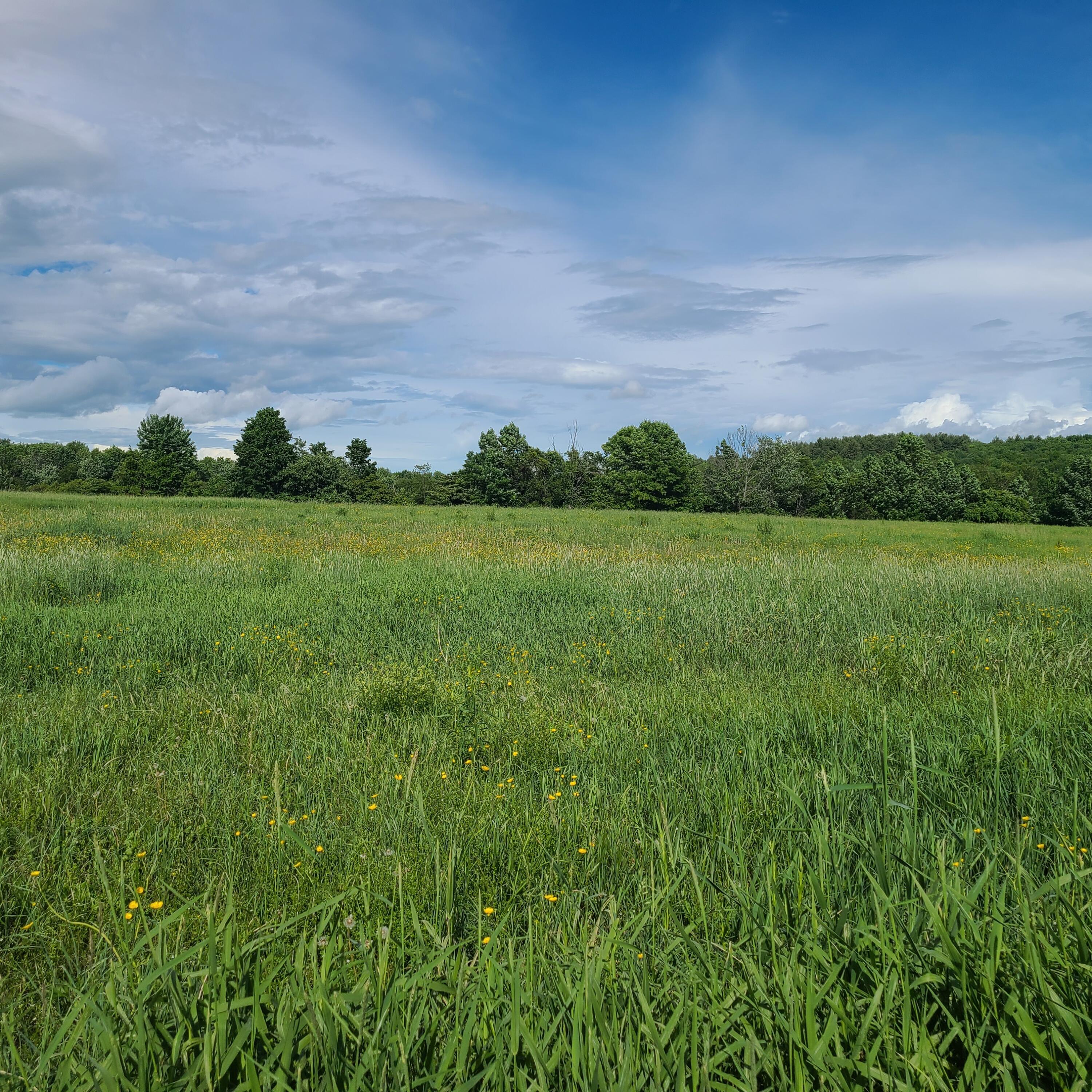 Lot 10-4 Osborne Road Farmington, ME 04938 - Photo 1 of 4 2.06 Acres